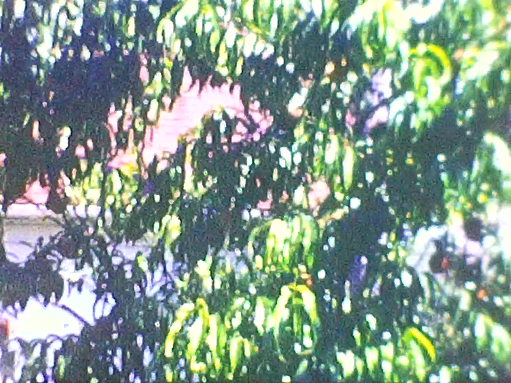 reel 20